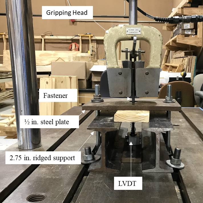 Image 2: Picture of experimental setup used for the determination of the Head Embedment Stiffness.