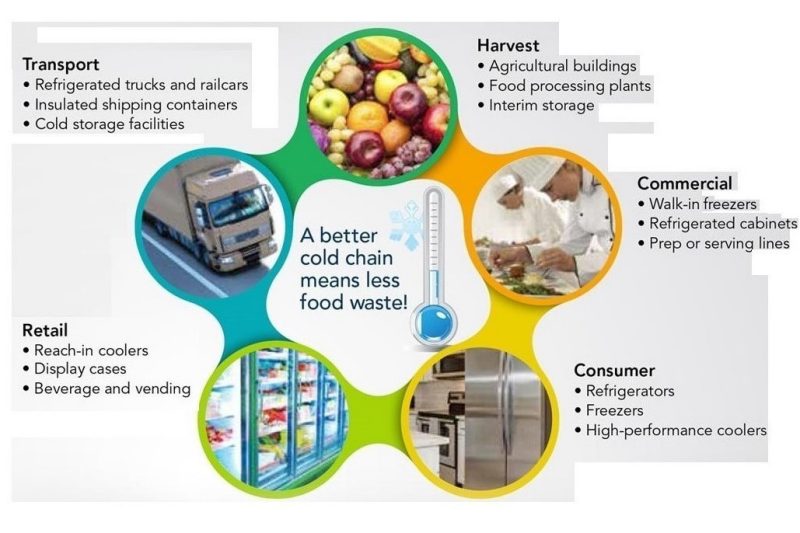 CPULD researchers cold chain